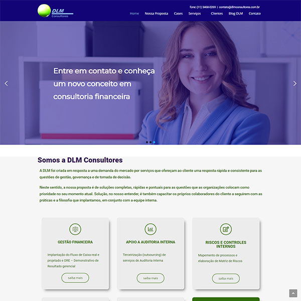 DLM CONSULTORES